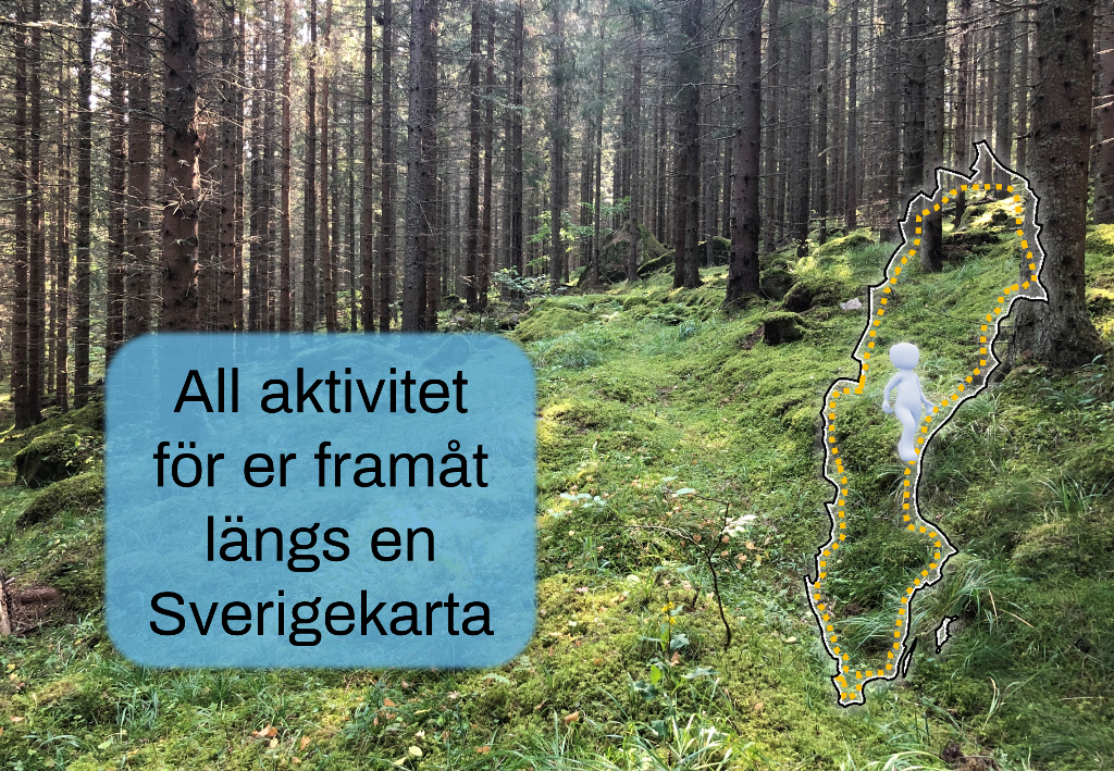 Bild på en skog, en sverigekarta med en vit gubbe. Två blå cirklar med text. Alla ktiviteter för er framåt längs en Sverige karta. 170 kr per deltagare.