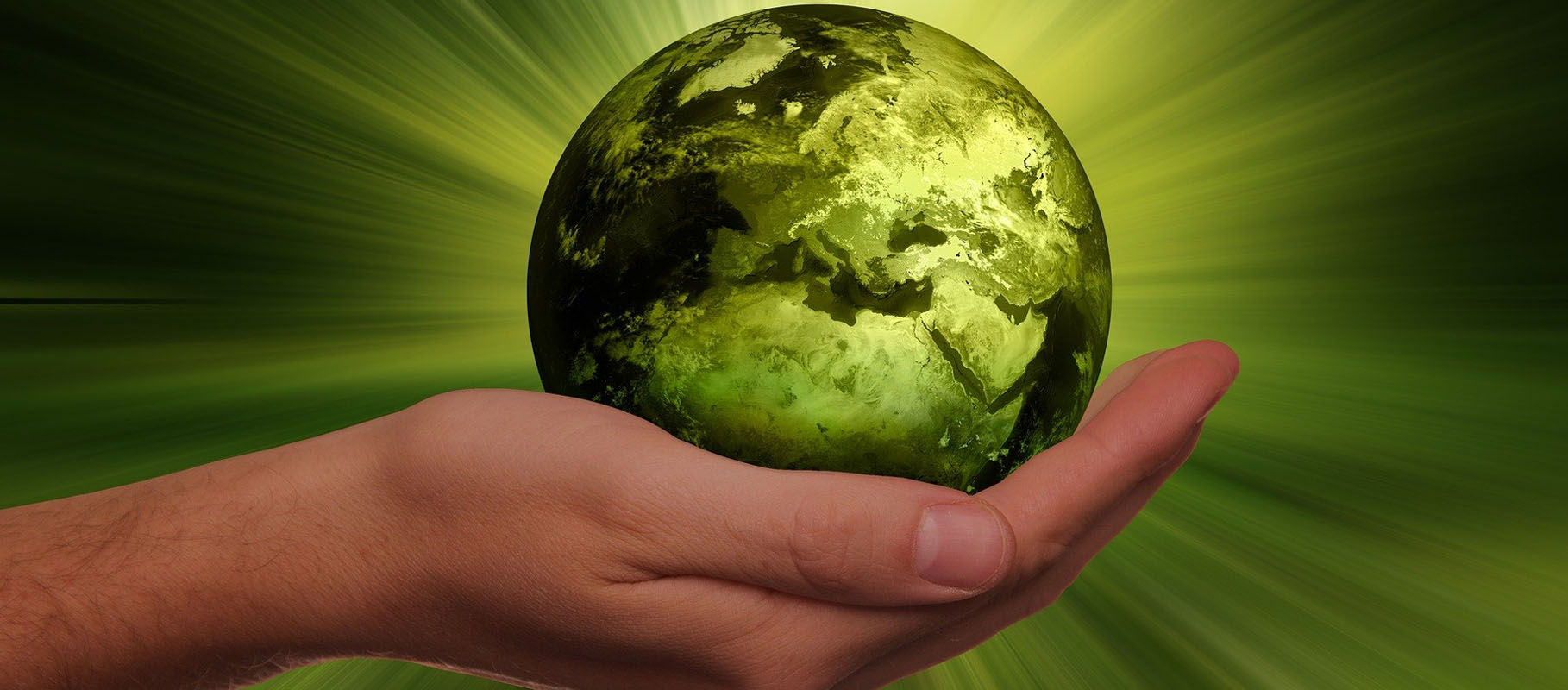 Bild på en hand som håller ett jordklot som går i gröna toner. 